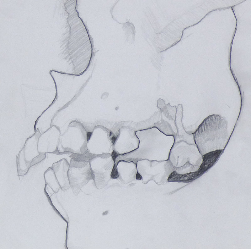 Teeth Sketch